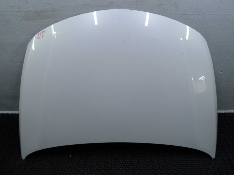Изображение товара 132271 - 000119790 kapot Citroen C5