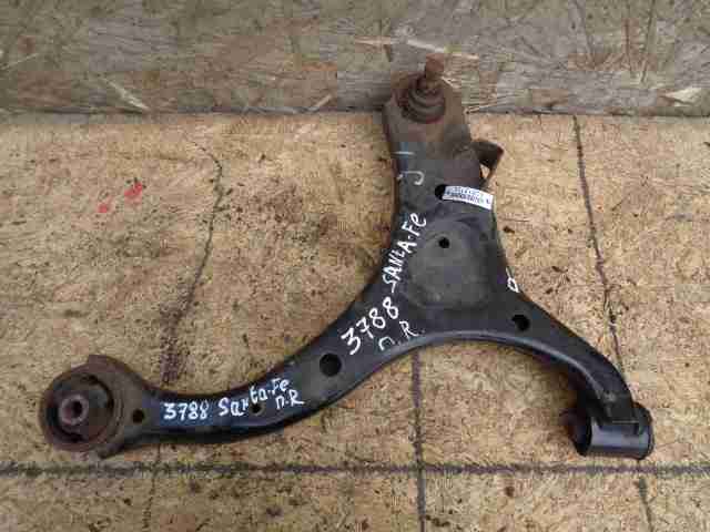 Изображение товара 13102 - 00013102 rychag perednij pravyj nizhnij