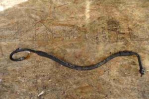 Изображение товара 13533 - 00013533 trubka gidrousilitelya Toyota Corolla Matrix