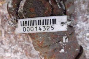 Изображение товара 14325 - 00014325 kardan perednij 3