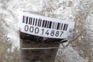Изображение товара 14887 - 00014887 kulak povorotnyj pravyj 3