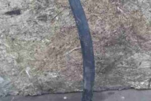 Изображение товара 15825 - 00015825 rychag zadnij pravyj verkhnij Ford Escort 1