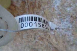 Изображение товара 15854 - 00015854 bachok rasshiritelnyj Citroen C5 2