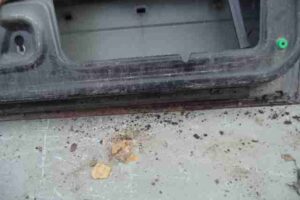 Изображение товара 16446 - 00016446 dver perednyaya levaya 2