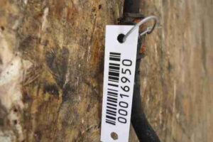 Изображение товара 16950 - 00016950 trubka gidrousilitelya Volkswagen Amarok 1