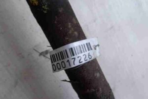 Изображение товара 17226 - 00017226 poluos zadnyaya levaya 3