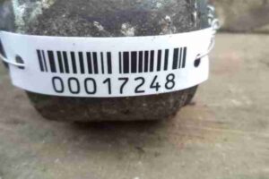 Изображение товара 17248 - 00017248 rychag zadnij pravyj nizhnij Ford Escort 3