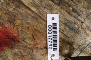 Изображение товара 17790 - 00017790 trubka gidrousilitelya Audi TT 2