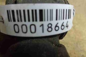 Изображение товара 18664 - 00018664 amortizator zadnij levyj Fiat Brava 2