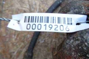 Изображение товара 19206 - 00019206 support perednij pravyj Citroen C5 3