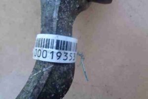 Изображение товара 19353 - 00019353 rychag perednij levyj nizhnij 1