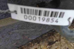 Изображение товара 19854 - 00019854 zaschita dnischa 1