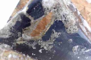 Изображение товара 20973 - 00020973 porog plastikovyj levyj Ford Transit Connect 3