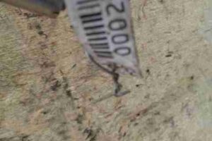 Изображение товара 21173 - 00021173 napravlyayuschaya sdvizhnoj dveri Fiat Brava 2