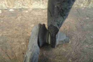 Изображение товара 22227 - 00022227 stabilizator perednij Ford Explorer 2