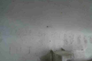 Изображение товара 22510 - 00022510 porog plastikovyj levyj Citroen Xsara 3