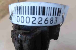 Изображение товара 22683 - 00022683 rychag zadnij levyj Mercedes CLA 2