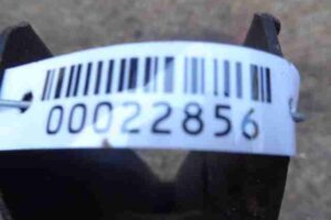 Изображение товара 22856 - 00022856 rychag zadnij pravyj Peugeot 306 1