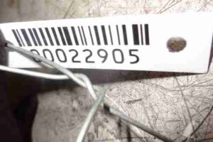 Изображение товара 22905 - 00022905 turbina Chevrolet Lumina 2