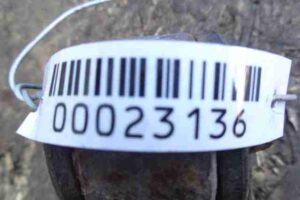 Изображение товара 23136 - 00023136 amortizator zadnij pravyj 1