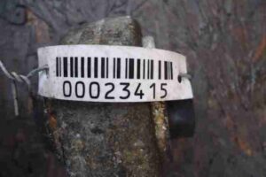 Изображение товара 23415 - 00023415 rychag perednij levyj nizhnij Honda Ridgeline 2