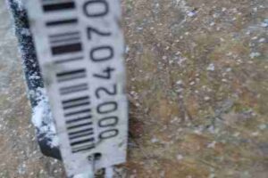 Изображение товара 24070 - 00024070 amortizator perednij levyj 3
