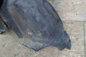 Изображение товара 24707 - 00024707 podkrylok zadnij levyj 3