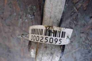 Изображение товара 25095 - 00025095 rychag zadnij pravyj nizhnij Ford Scorpio 1