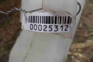 Изображение товара 25312 - 00025312 bachok omyvatelya 3