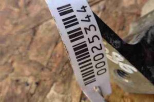 Изображение товара 25344 - 00025344 petlya dveri zadnyaya 3