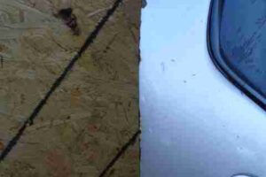 Изображение товара 25397 - 00025397 dver zadnyaya pravaya 2