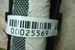 Изображение товара 25569 - 00025569 podushka bezopasnosti potolochnaya levaya Renault Sandero 3