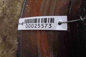 Изображение товара 25573 - 00025573 disk tormoznoj perednij Ford Transit Connect 2