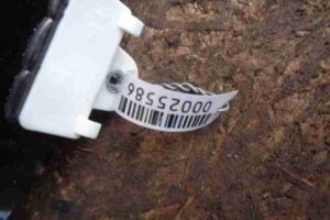 Изображение товара 25586 - 00025586 steklo dveri zadnej pravoj Lexus LS 2