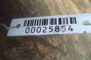 Изображение товара 25854 - 00025854 kronshtejn perednego bampera 3