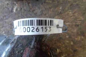 Изображение товара 26153 - 00026153 podushka krepleniya dvigatelya 1