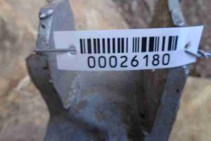 Изображение товара 26180 - 00026180 bamper perednij Citroen Xsara 3