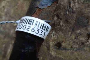 Изображение товара 26333 - 00026333 poluos zadnyaya levaya 2