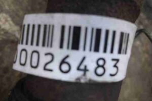 Изображение товара 26483 - 00026483 poluos zadnyaya levaya Hyundai H1 1