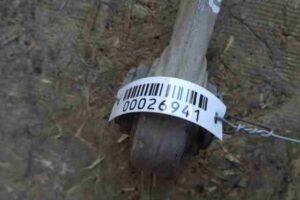 Изображение товара 26941 - 00026941 rychag zadnij pravyj nizhnij 1