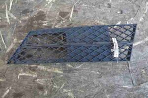 Изображение товара 27115 - 00027115 zaglushka (reshetka) v bamper 