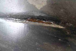 Изображение товара 27298 - 00027298 porog plastikovyj levyj 1