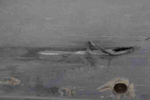 Изображение товара 27298 - 00027298 porog plastikovyj levyj 2