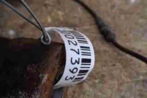 Изображение товара 27393 - 00027393 kulak povorotnyj levyj Ford Transit Connect 3