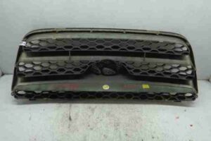 Изображение товара 27731 - 00027731 reshetka radiatora 2