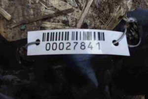 Изображение товара 27841 - 00027841 televizor Honda Ridgeline 2