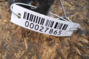 Изображение товара 27865 - 00027865 podkrylok perednij pravyj 1