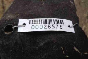 Изображение товара 28576 - 00028576 podkrylok zadnij levyj Honda Ridgeline 1