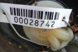 Изображение товара 28742 - 00028742 bak toplivnyj Volvo V50 3