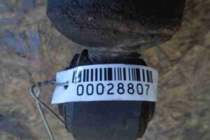 Изображение товара 28807 - 00028807 amortizator zadnij pravyj Lexus GS 1